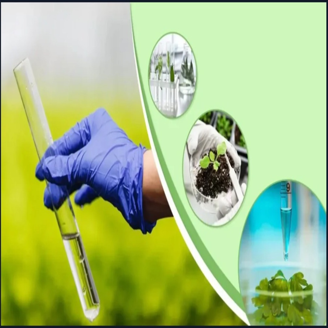 whatsapp image 2026 04 06 at 3.05.19 pm