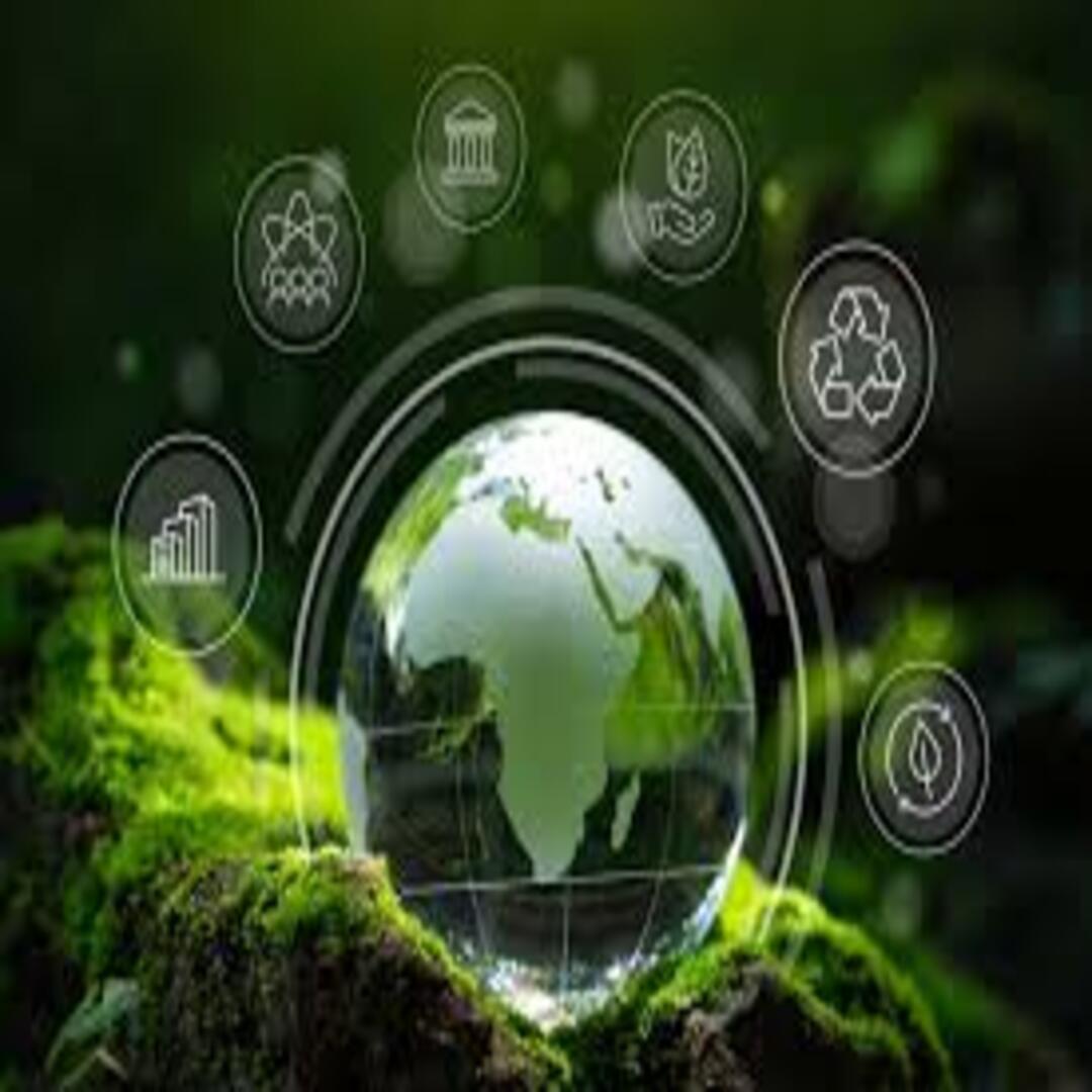 whatsapp image 2026 04 06 at 3.05.22 pm (1)